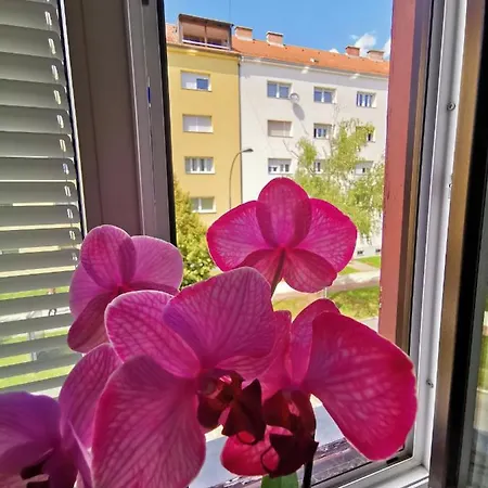 Apartma Mb-center Apartment *