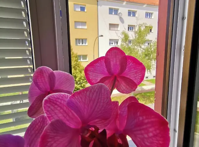 Apartma Mb-center Апартаменты *